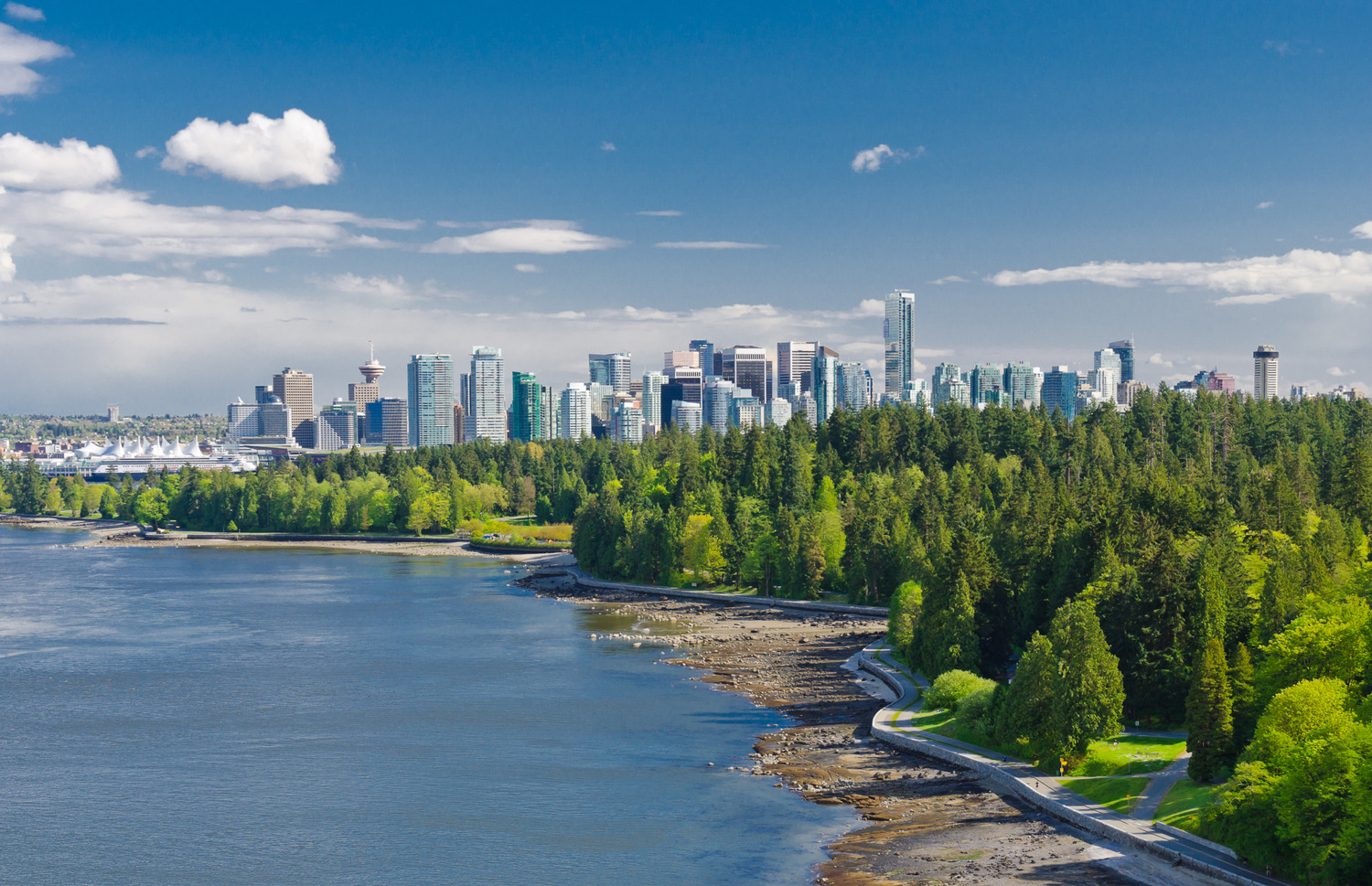 Vancouver skyline in the summer, looking across Stanley Park